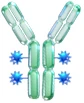 ADC Target Proteins